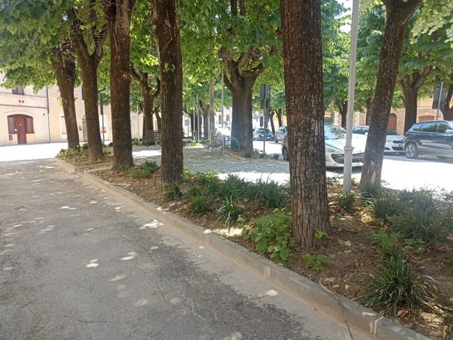 piazza-cavour-2024-2-650x488