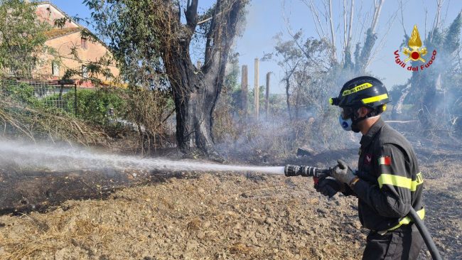vigili-fuoco-archivio-arkiv-bosco-incendio-bosco-boschi-1-650x366