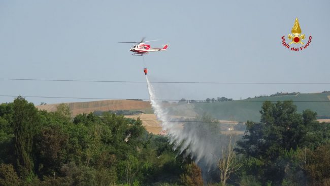 vigili-fuoco-archivio-arkiv-bosco-incendio-bosco-boschi-2-650x366