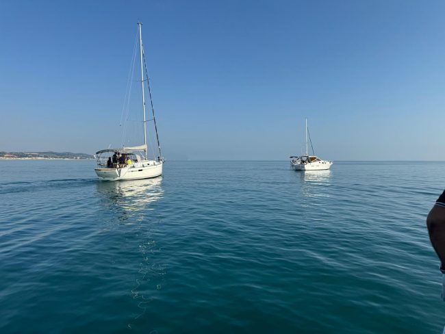 IMG-20240824-WA0003-650x488