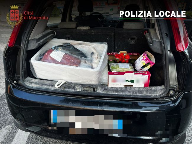 Polizia-locale-sanzione-alimenti1-650x488