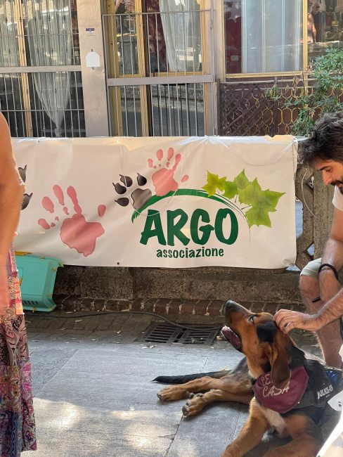 argo_san_giuliano-2-488x650