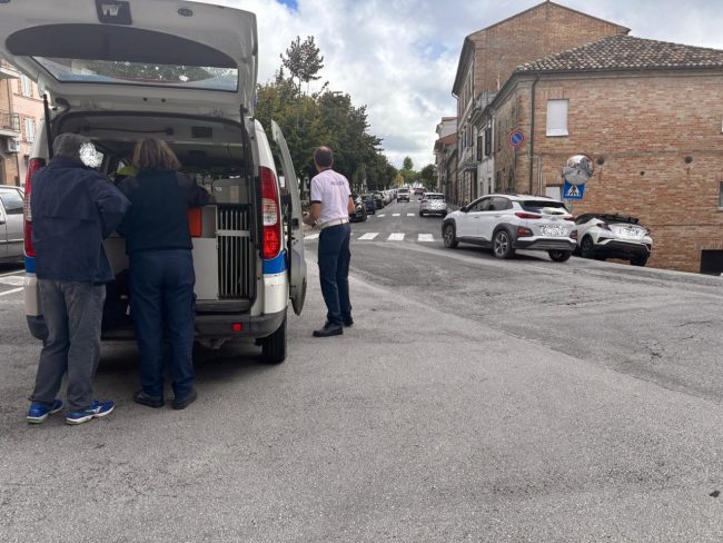 investimento_morrovalle-2-650x488