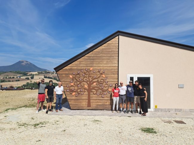 io_non_crollo-1-650x488