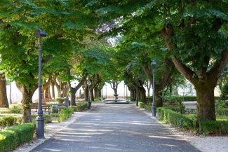 Caccia-ai-tesori-3-camerino-325x217