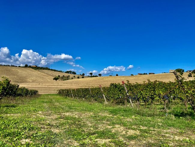 pars_corridonia_villaggio_1-650x488