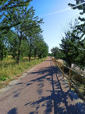 pista-ciclabile