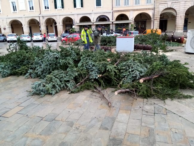 Maltempo-albero-in-piazza-Del-Popolo1-650x488