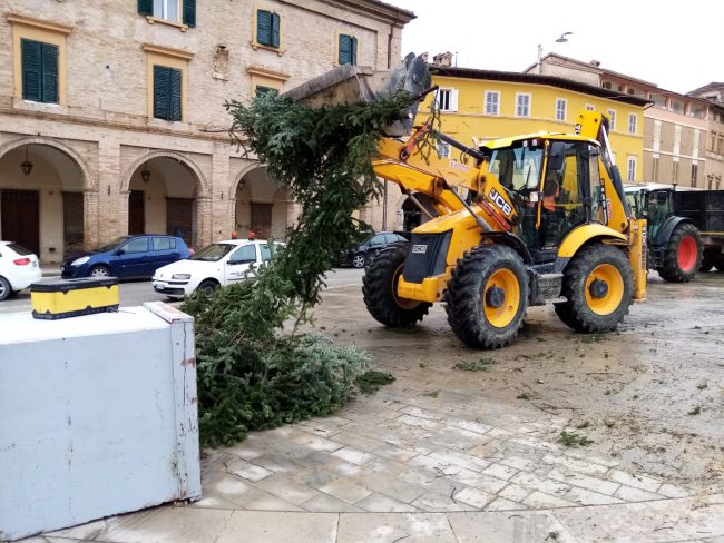 Maltempo-albero-in-piazza-Del-Popolo2-650x488