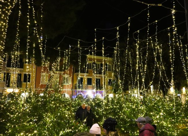 bosco-luminoso-porto-recanati-2-1-650x470