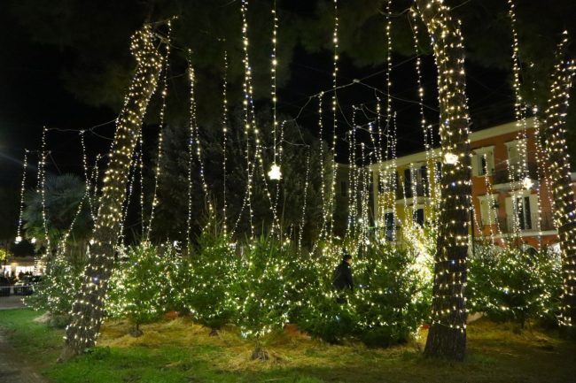 bosco-luminoso-porto-recanati-3-1-650x433