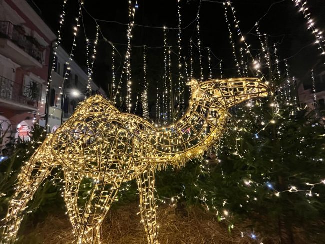 bosco-luminoso-porto-recanati-3-650x488