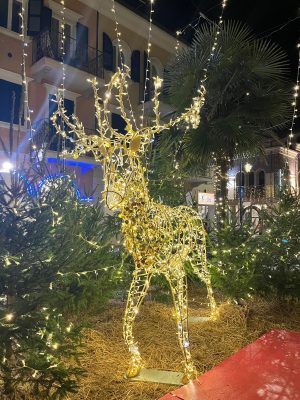 bosco-luminoso-porto-recanati