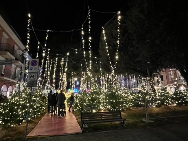 bosco-luminoso-porto-recanati-4-650x488