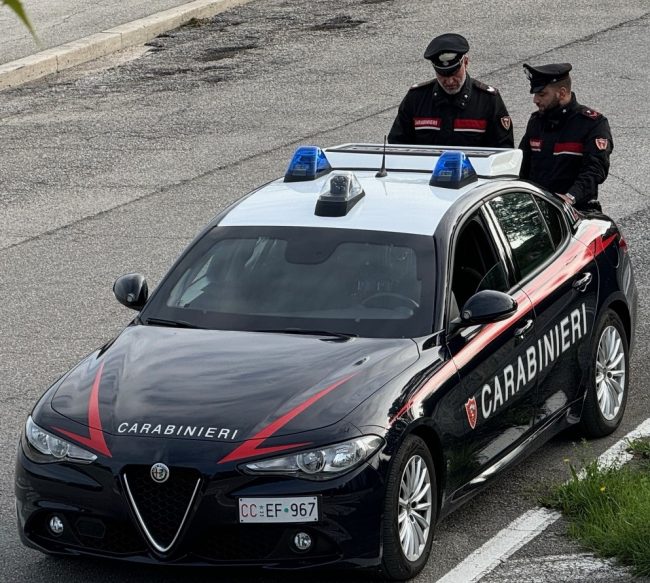 carabinieri-archivio-arkiv-6-650x583