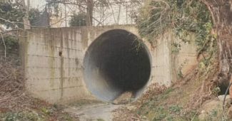 fosso-narducci