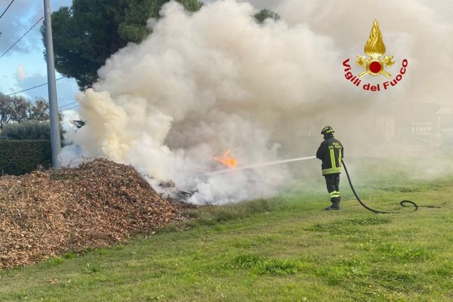 incendio-foglie-secche