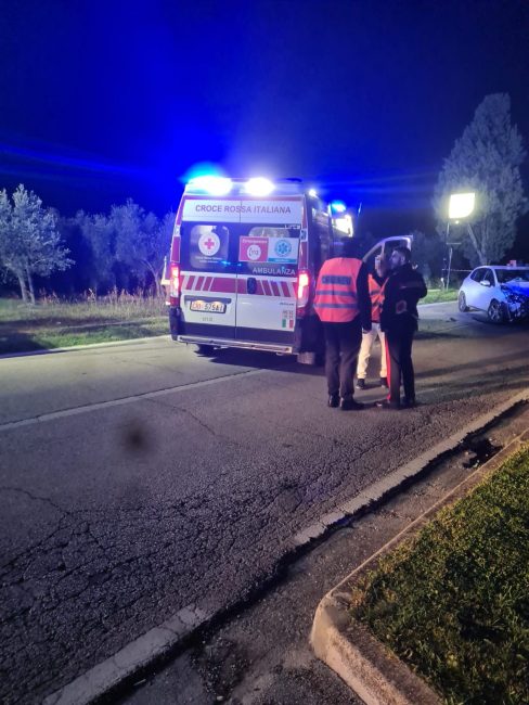 incidente-sterpare-3_censored-488x650