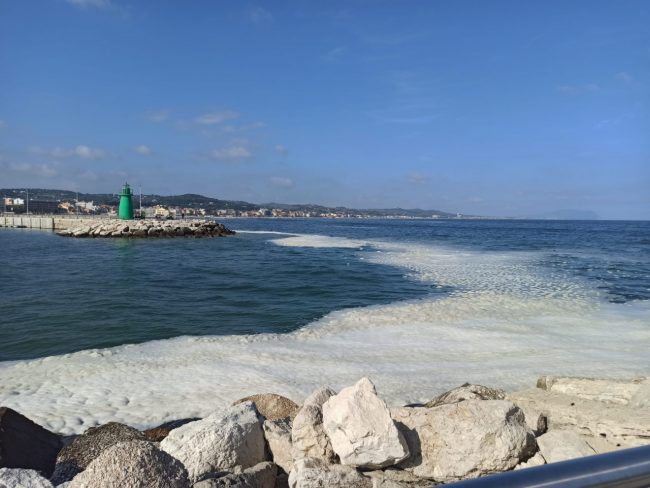 mucillagini-civitanova