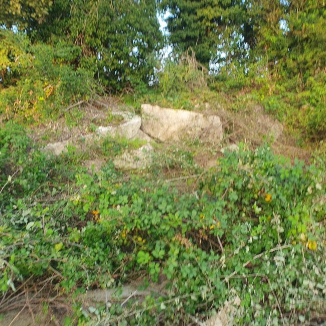 piane-chienti-12-650x650