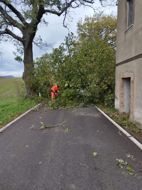 raffiche-vento-provinciale-11-2-488x650