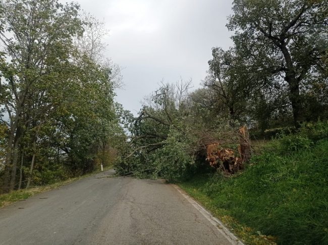 raffiche-vento-provinciale-55-650x486