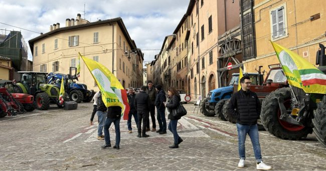 ringraziamento-macerata-2024-1-650x341