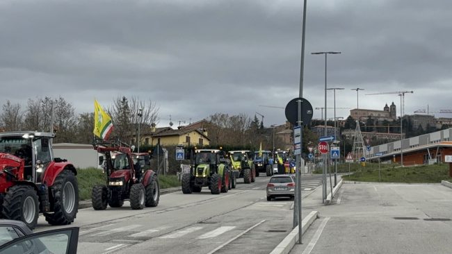 ringraziamento-macerata-2024-2-650x366