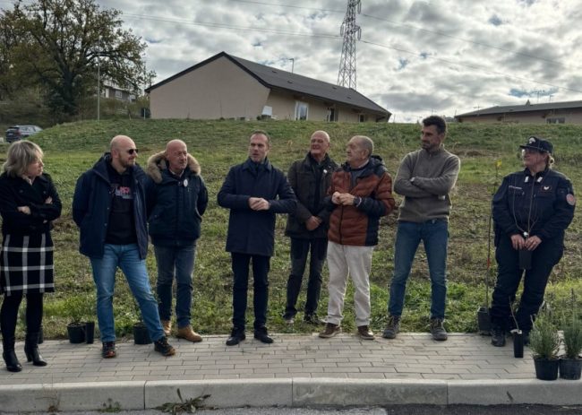 Foto-piantumazione-alberi-e1734352496390-650x463