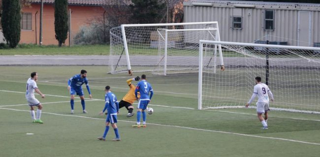 Gol-Bonacci