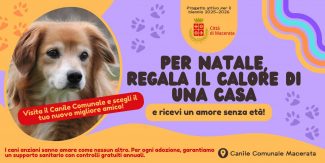 campagna-sensibilizzazione-adozione-cani