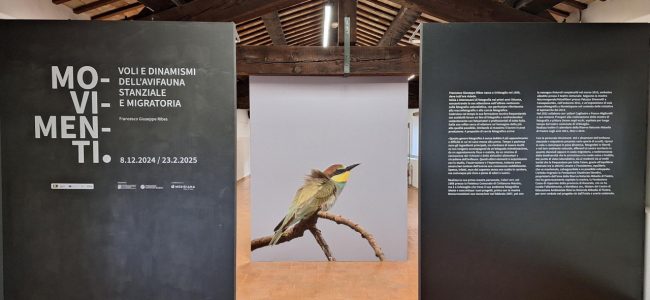inaugurazione_mostra_fondaizone_carima-2-650x300