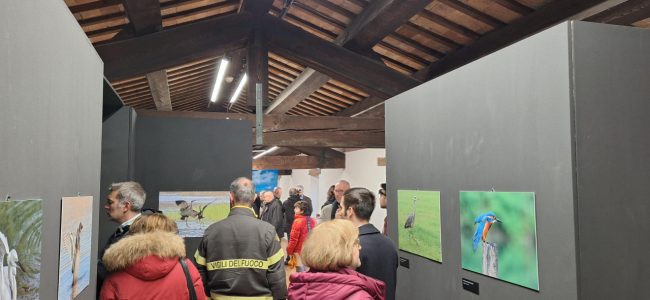 inaugurazione_mostra_fondaizone_carima-7-650x300