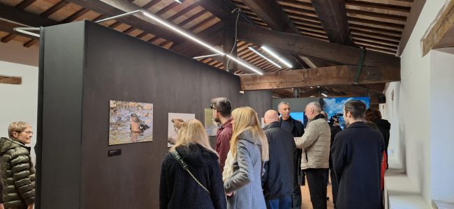 inaugurazione_mostra_fondaizone_carima-8-650x300