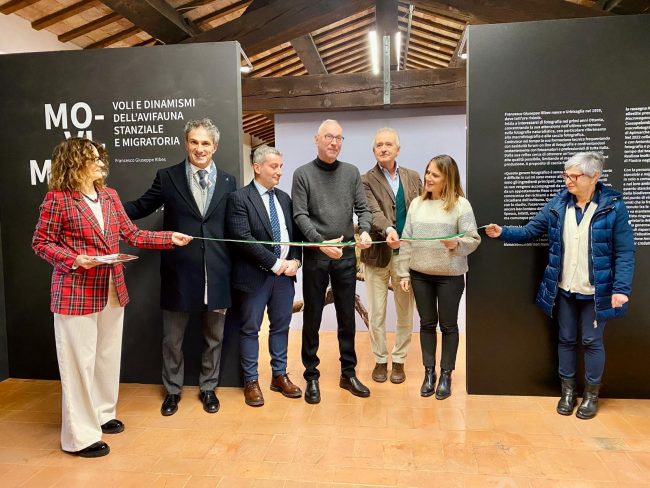 inaugurazione_mostra_fondaizone_carima-9-650x488