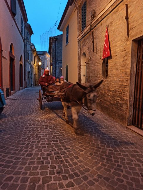 montecassiano-natale-4-488x650