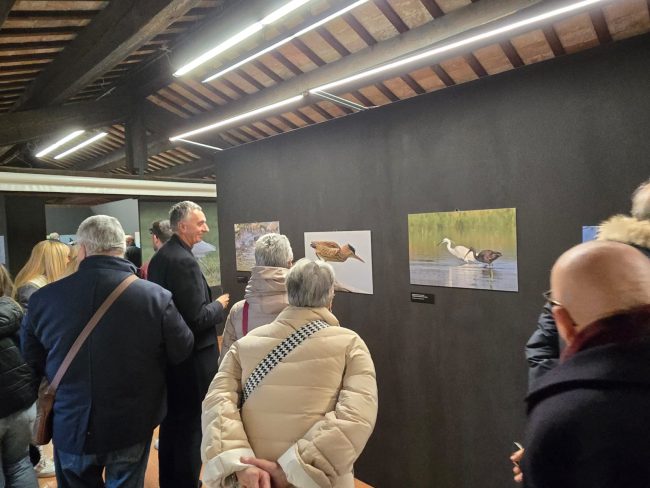 mostra-_fondaizone-2-650x488