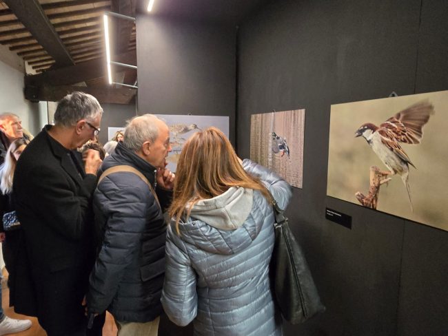 mostra-_fondaizone-3-650x488