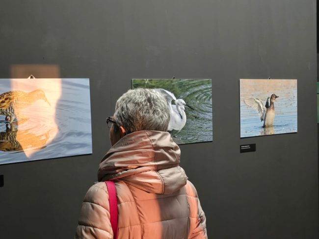 mostra-_fondaizone-4-650x488