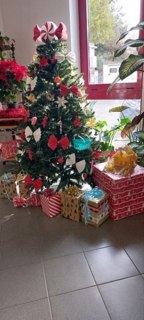 natale-casa-riposo-gagliole-3-293x650