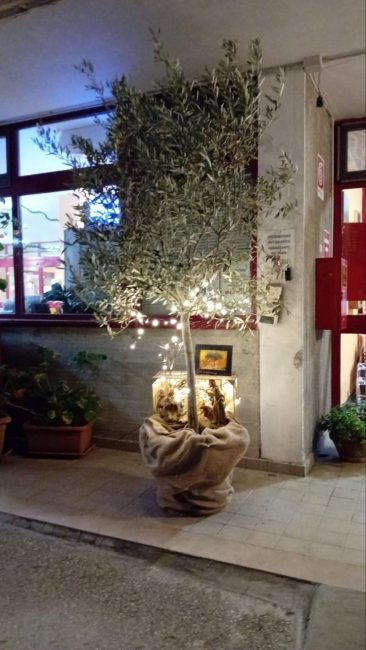 natale-casa-riposo-gagliole-9-366x650