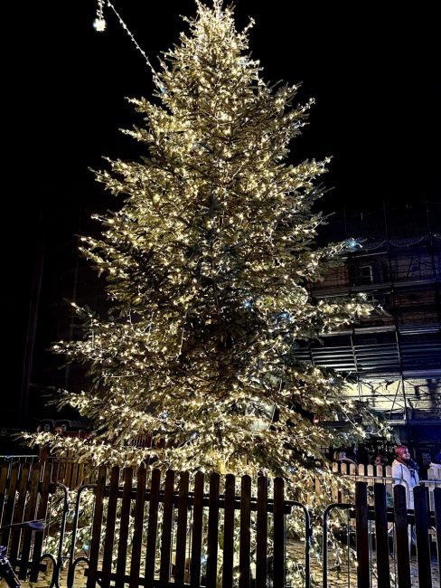natale-civitanova-1-488x650