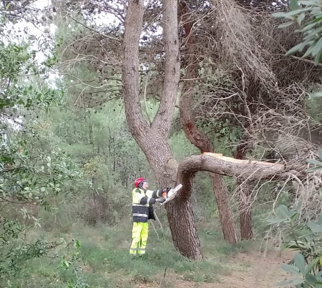 protezione-civile-maltempo-1-e1735228293979-650x582