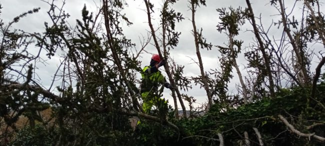 protezione-civile-maltempo-3-650x293