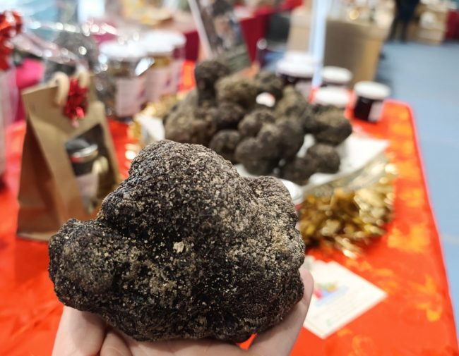 terre-del-tartufo-7-650x505