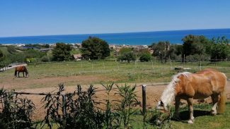 are-antenna-civitanova