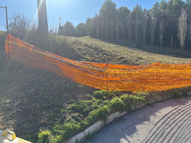 bosco-urbano-montarice-1-650x488
