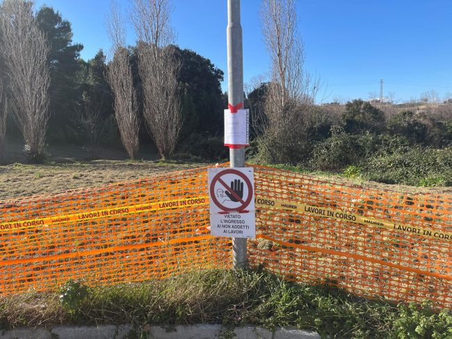 bosco-urbano-montarice-2-650x488