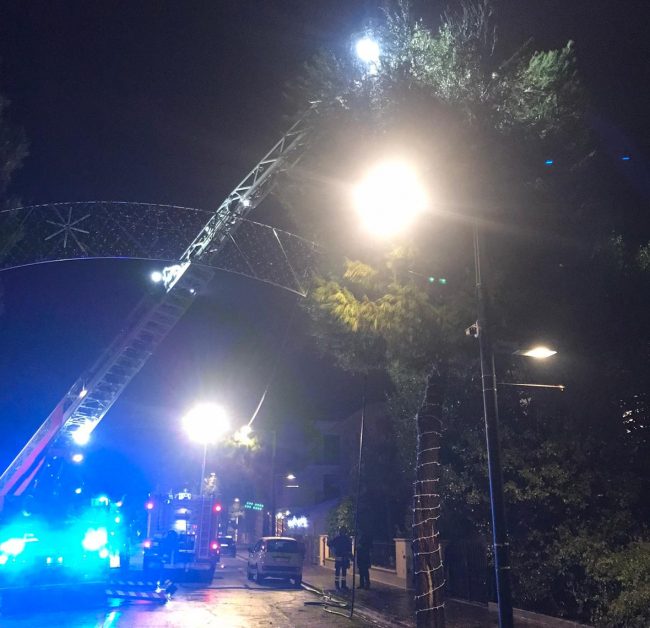 incendio-albero-porto-recanati-e1735720419836-650x628