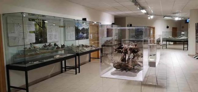 reperti-archeologici-a-Serravalle-di-Chienti